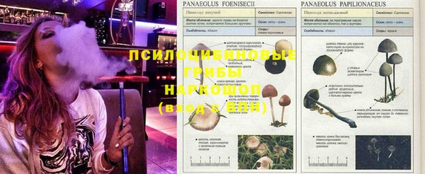стафф Няндома