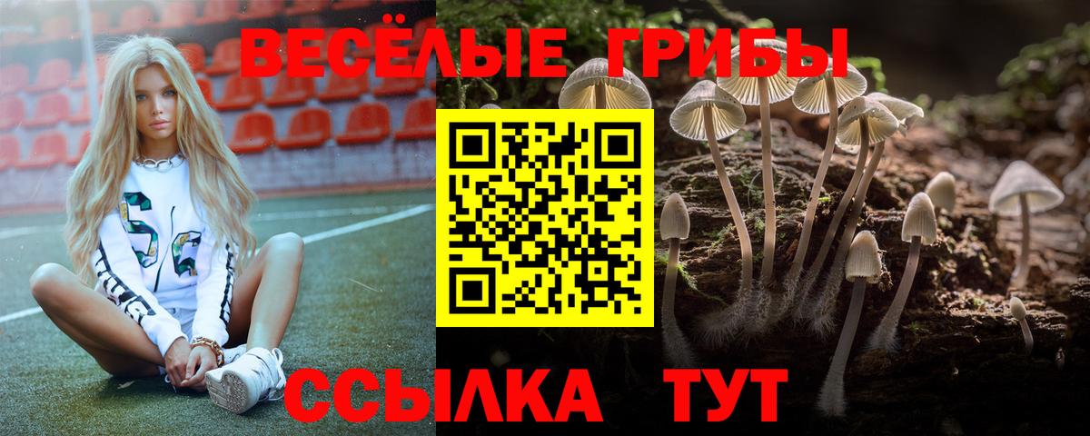 Псилоцибиновые грибы MAGIC MUSHROOMS Сертолово